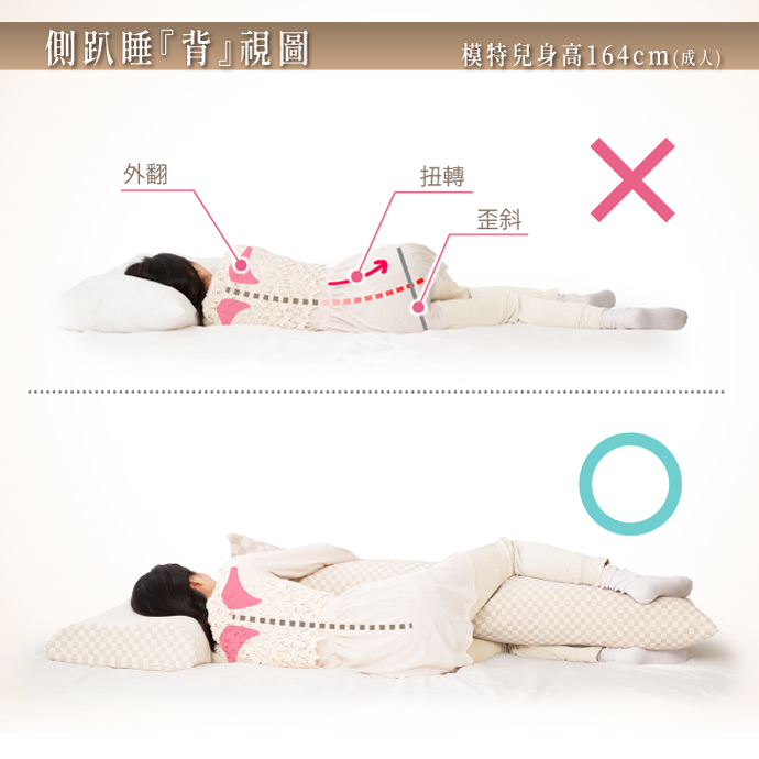 側趴睡『背』視圖－模特兒身高164cm (成人)